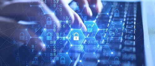 網絡技術服務市場的規模與機遇